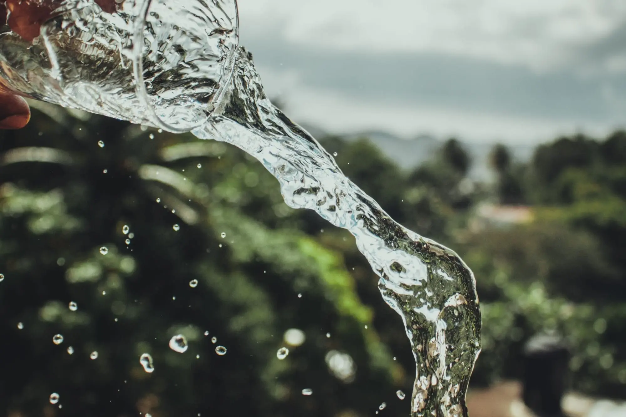 Water poured from a glass with tropical greenery in the background
