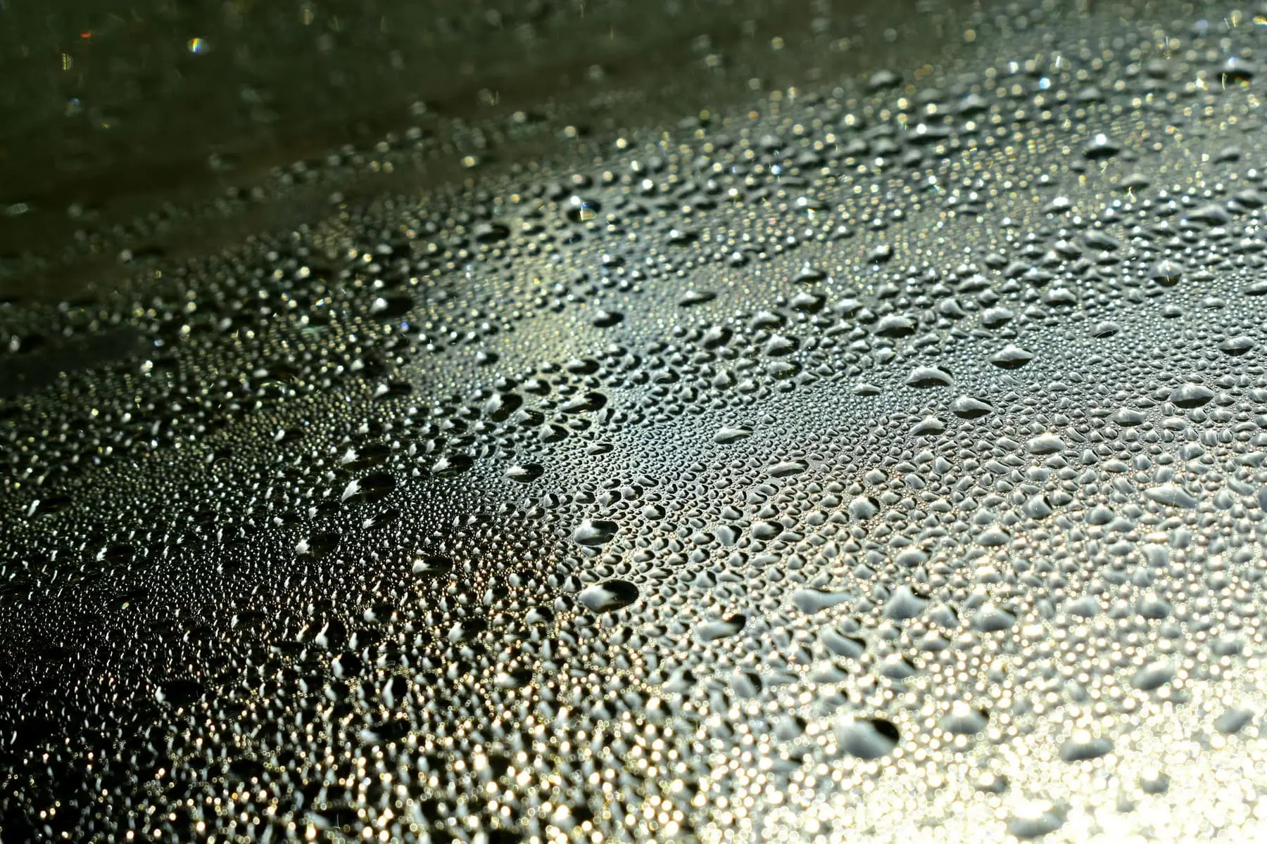 Macro view of condensation droplets on a dark surface