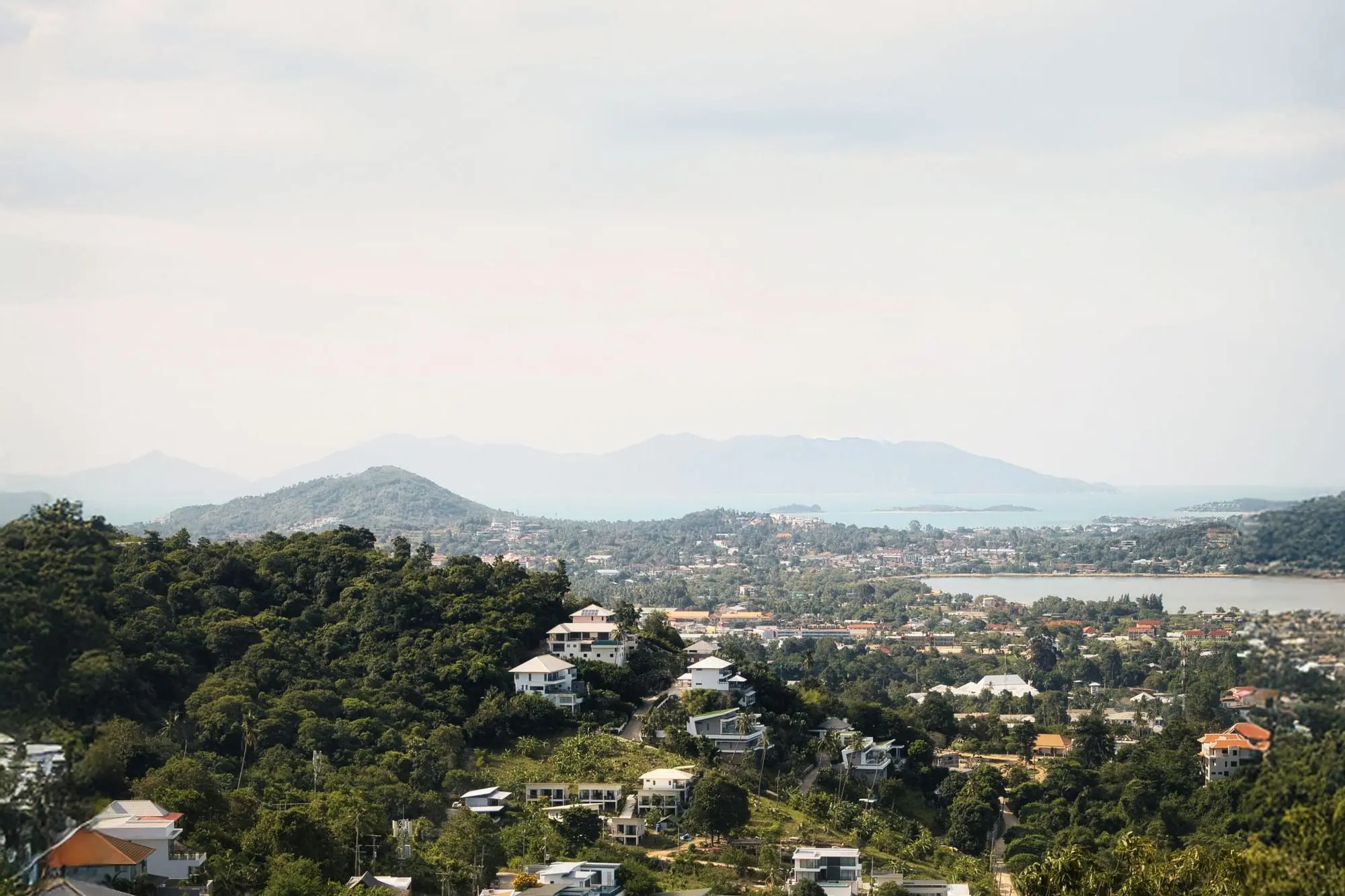 Hillside villas among tropical trees above the coast of Koh Samui