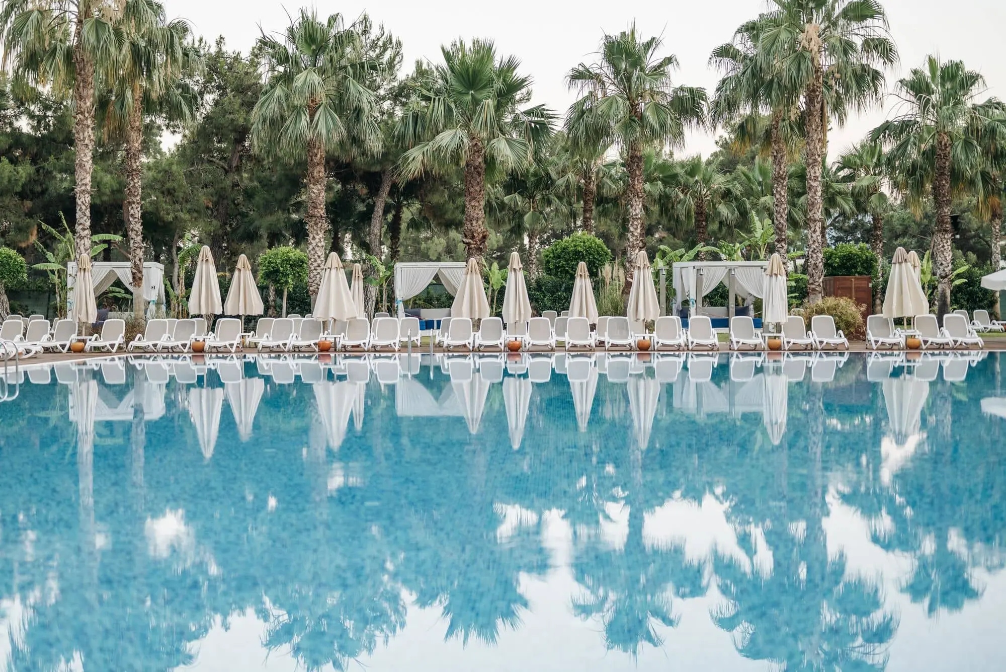 Resort swimming pool lined with sunbeds, umbrellas and palm trees