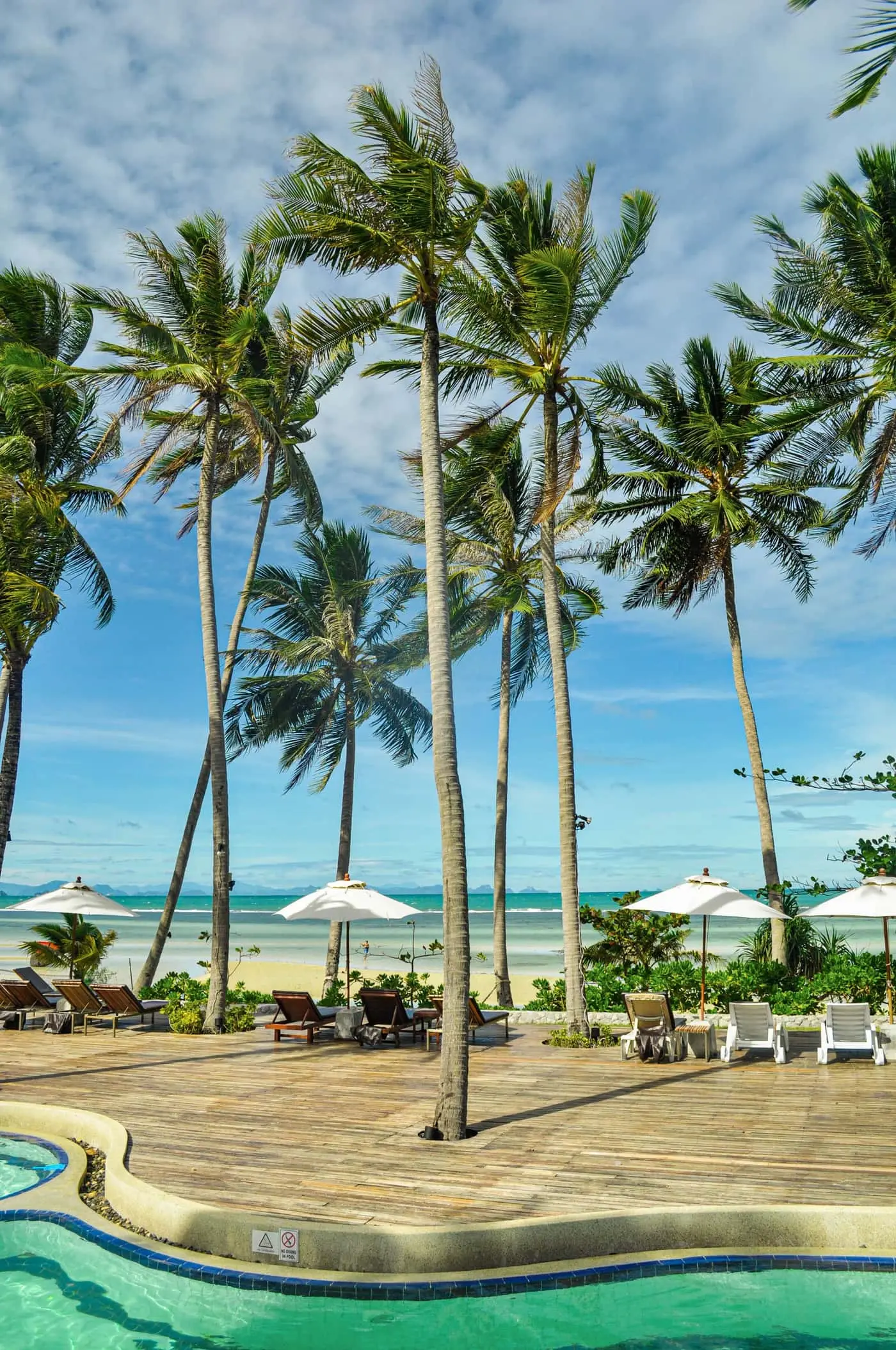 Coconut palms over a resort pool deck facing the beach in Koh Samui, Thailand